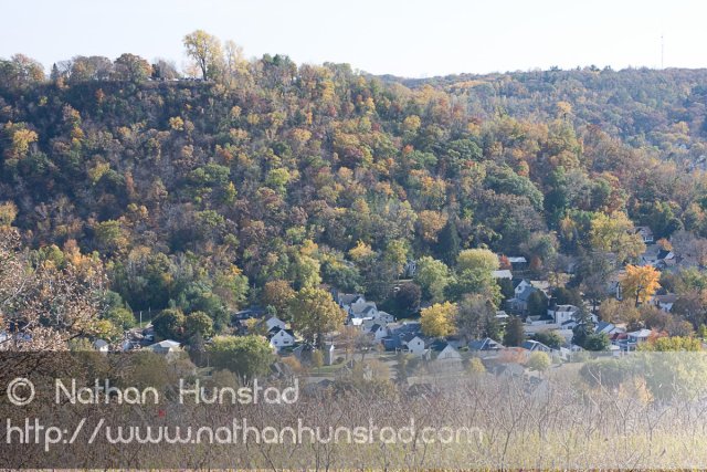 Red_Wing_2008-10-18_IMG_2422